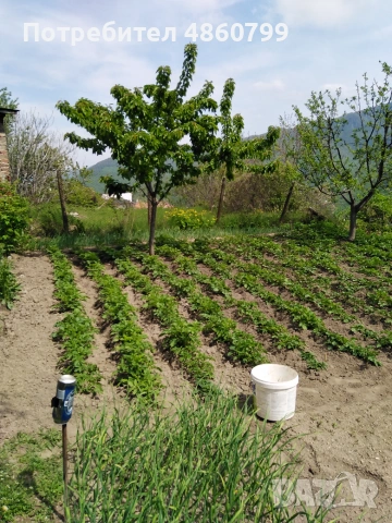 Продавам къща в с. Орешец, снимка 3 - Къщи - 55127321