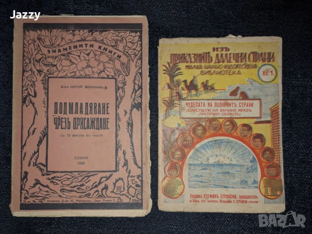 Документи от царско време, снимка 4 - Антикварни и старинни предмети - 54662205