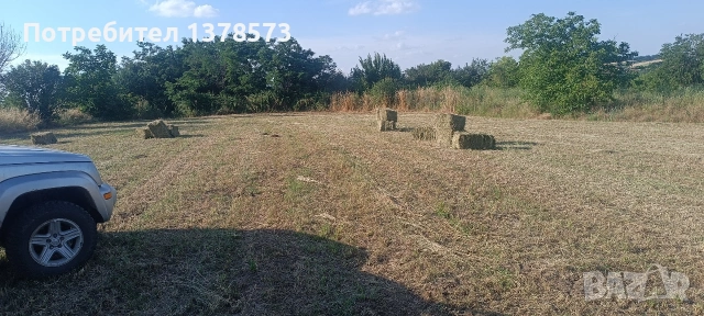 Бали чиста люцерна , снимка 4 - За селскостопански - 55070285