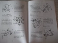 Книга "Чин-На - Дориан Александров" - 224 стр., снимка 5