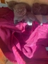 Продавам шотландски клепоухи малки котенца 😻, снимка 6