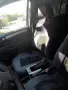 Opel zafira спешно , снимка 5