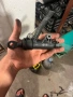 BMW E39 Горна помпа на съединителя OEM 21.52-1 165 010, снимка 2