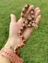 Boa constrictor imperator /боа/змия, снимка 1