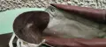 кожени мъужки обувки от соца нови, снимка 2