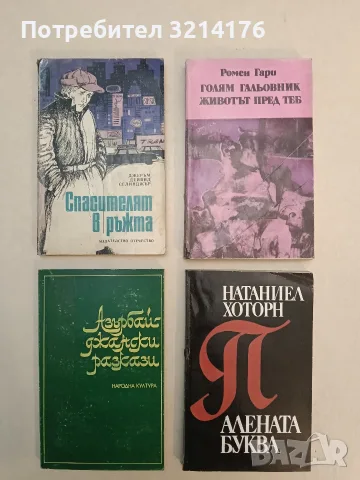 Спасителят в ръжта - Джеръм Селинджър