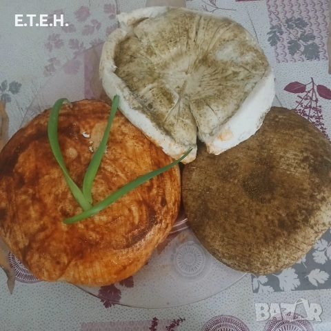 Домашено сирене кашкавал и гюбек., снимка 2 - Кози - 54608891