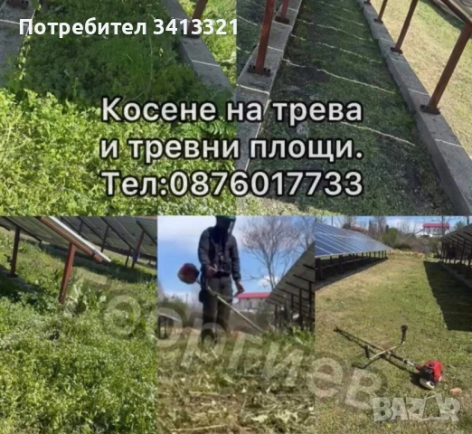 Косене на Трева 