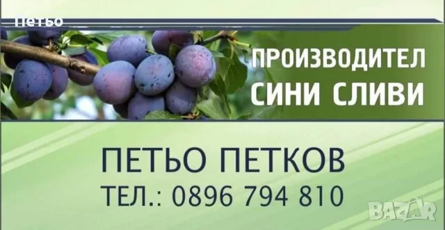 Продавам Сини Сливи За Ракия Сорт Стенлей