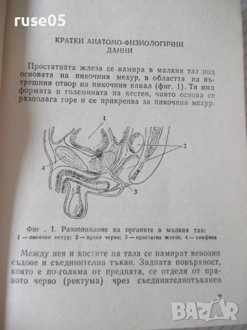Книга "Болести на простатната жлеза-Теодор Патрашков"-80 стр, снимка 4 - Специализирана литература - 54457873