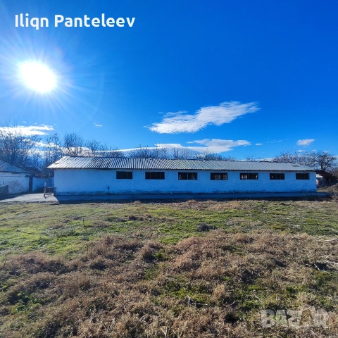 Давам под наем 2 Халета + 5дка двор и 2 рибарника 