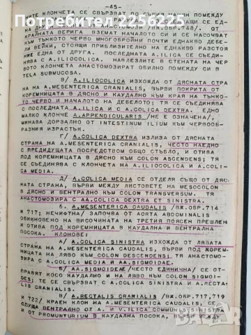 Анатомия на човека - сърце и вътрешни органи/ артерии, вени и лимфни съдове, снимка 2 - Специализирана литература - 54439820