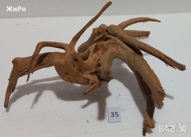 Корен от Азалия /декорация/ 35