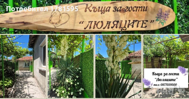Нощувки , снимка 4 - Квартири, нощувки - 54970667