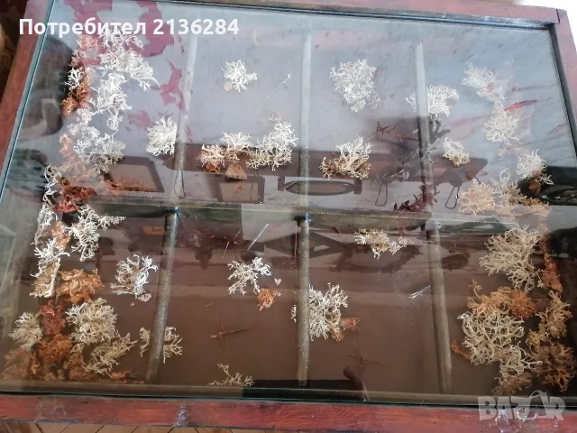 Холна маса с декорация, снимка 4 - Маси - 55307037