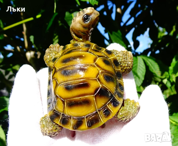 Фигура Костенурка,сухоземна. , снимка 2 - Статуетки - 54823484