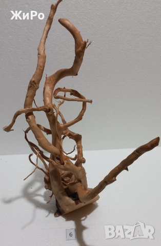 Корен от Азалия /декорация/ 6, снимка 4 - Други - 53396757