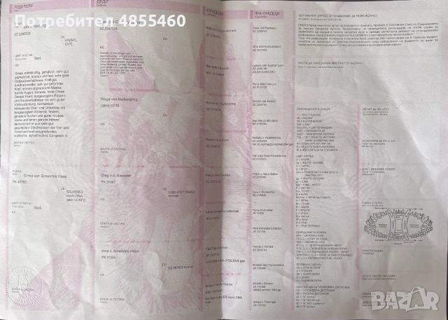 Малиноа, снимка 6 - Други - 54891710