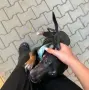 Подарявам Блеки 🥰, снимка 7