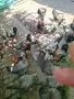 Катунски петлета, снимка 3