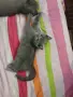 продавам 3 котенца , снимка 1