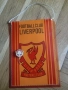 Нов суичър на Liverpool,значка и флагче, снимка 3