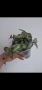 Традесканция, tradescantia Toundra, снимка 2
