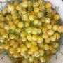 Продавам бели череши от стар сорт, снимка 1