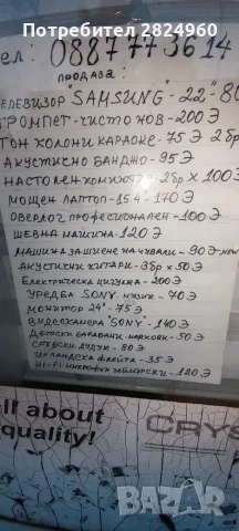 Електроники и за бита