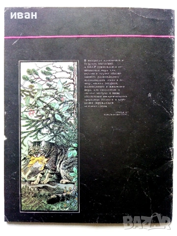 Они должны жить / Альбом, снимка 7 - Енциклопедии, справочници - 54481889
