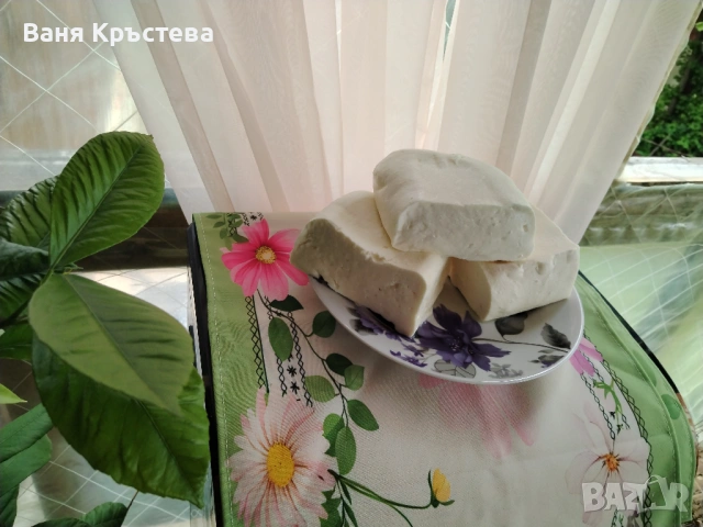 Домашно козе сирене 