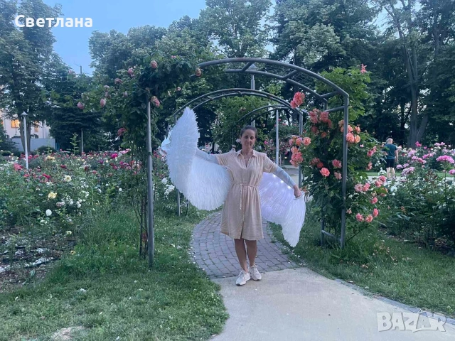 Светещи крила за танци