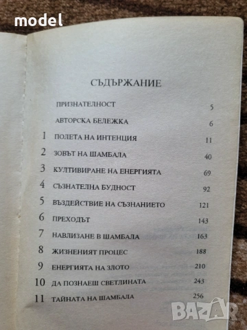 Четирите споразумения ДМТ молекулата на духа Окултна енциклопедия Съзнателно самовнушение Шамбала , снимка 9 - Други - 51763517