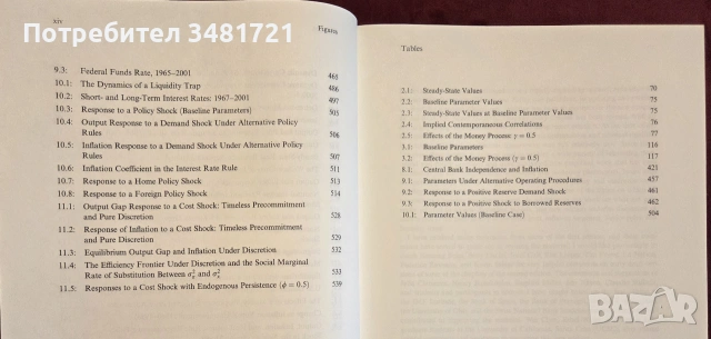 Парична теория и политики / Monetary Theory and Policy, снимка 6 - Бизнес, икономика и право - 55064739