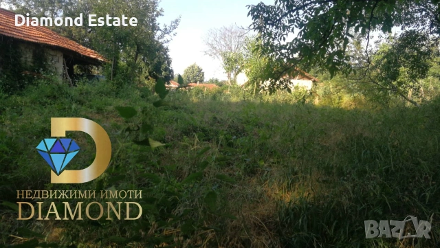 Парцел в село Стамболово, обл. Хасково, снимка 4 - Парцели - 55097448