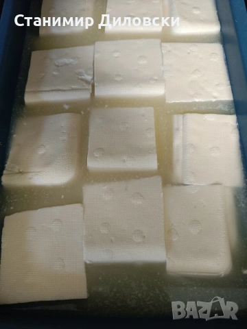 домашно овче сирене 