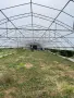 Оранжерия парник, снимка 1