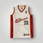 LeBron James Cleveland Cavaliers NBA Потник, снимка 1
