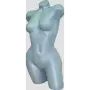 Пластмасови манекени торсове, снимка 1