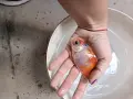 Продавам езерни рибки , снимка 14
