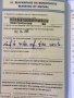  Продавам Голдън Ретривър – Бела, 3 месеца, снимка 8