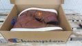 Спортно обувки Champion 40, снимка 2