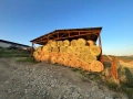 Ролонни Бали, снимка 1