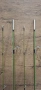 GERMINA STANDARD, снимка 6