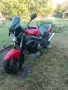 Honda x11 за ценители, снимка 7