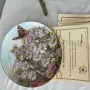 колекционерски порцеланови чинии, снимка 7