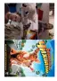 От личната ми колекция на флашка или  DVD диска Младият майстор с Джеки Чан, снимка 12