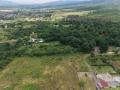 Парцел с.Ягода, снимка 3