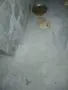 Mini Pomeran sladyri, снимка 12