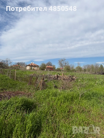 парцел в село Кутово, Видинско, снимка 3 - Парцели - 54818352